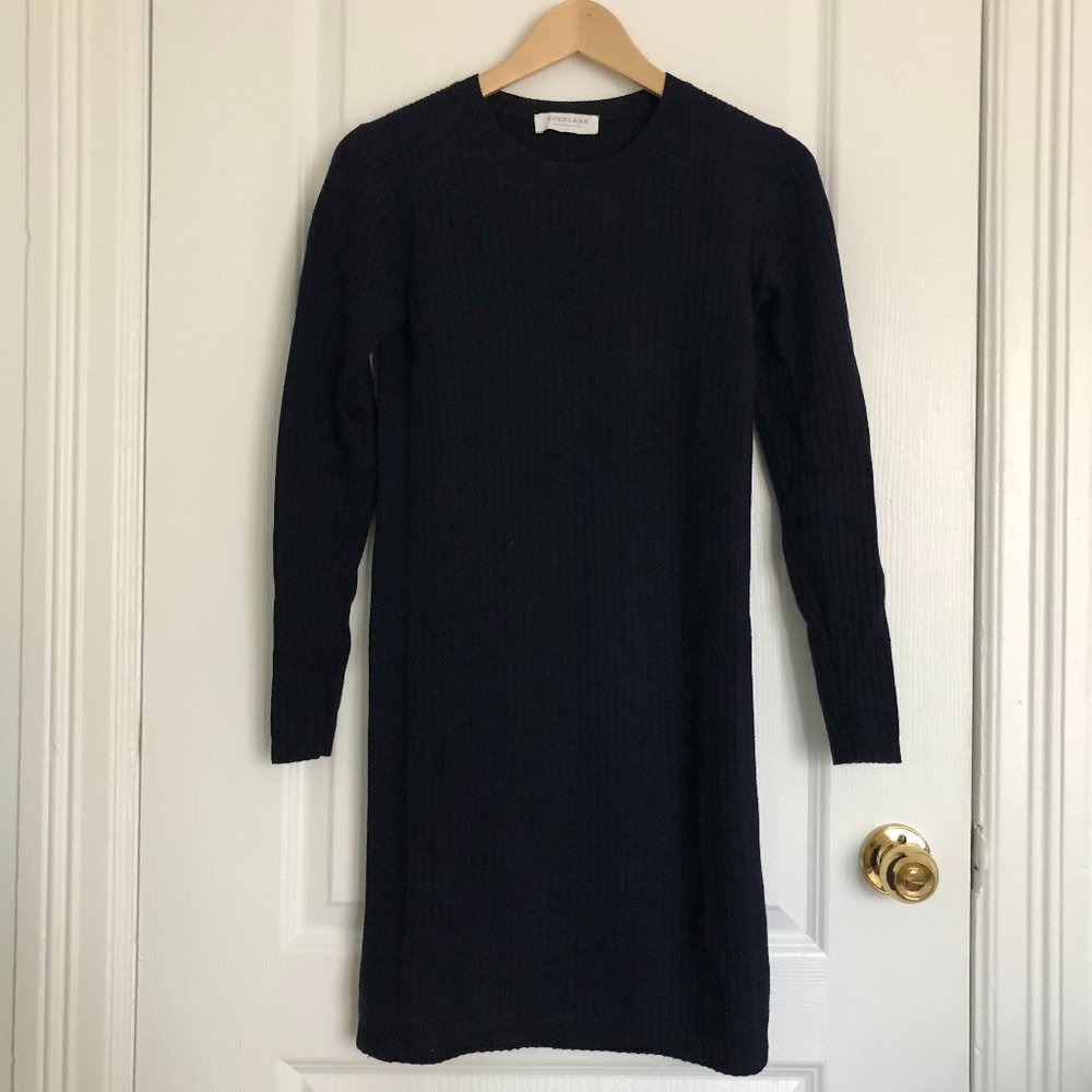 Everlane Luxe Wool Ribbed Long-Sleeve Dress